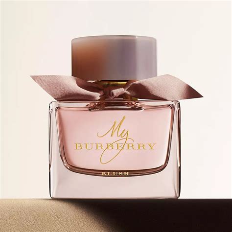 women's burberry fragrance|burberry perfume for women price list.